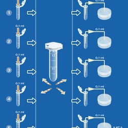 Infografik Einsporkulturen