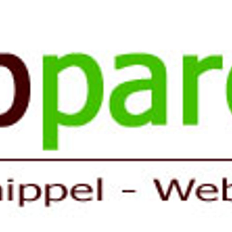 Dirk Schippel