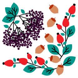 retro herbstfrüchte