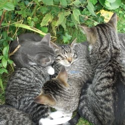 Beauty´s…