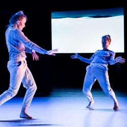 Performing, Moving, Imaging Landscapes
