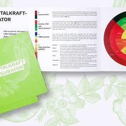AnnaSette designer portfolio antidote6