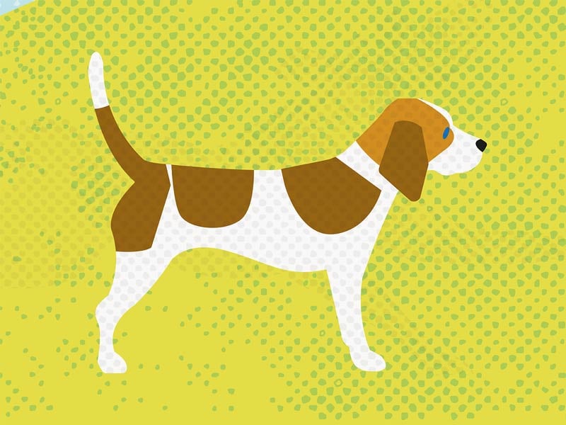 Illustration – Detail