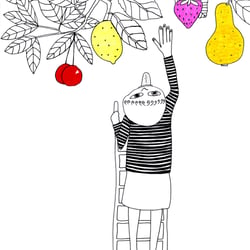 Die Früchte