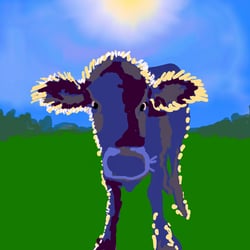 Toggenburg