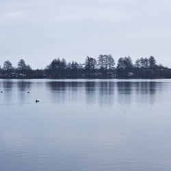 Seeblick