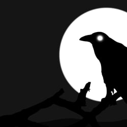 Still from the Video