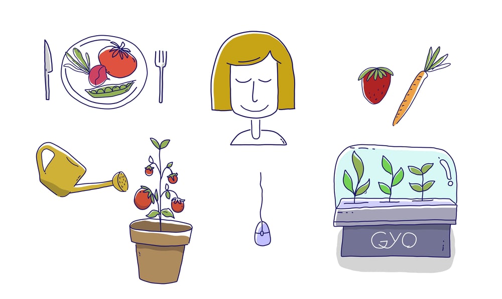explanatory animation