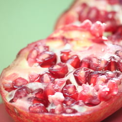 Granatapfel November 2012