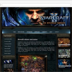 Entwurfsarbeit Fanseite Starcraft
