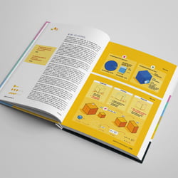 Praxisbuch Infografik