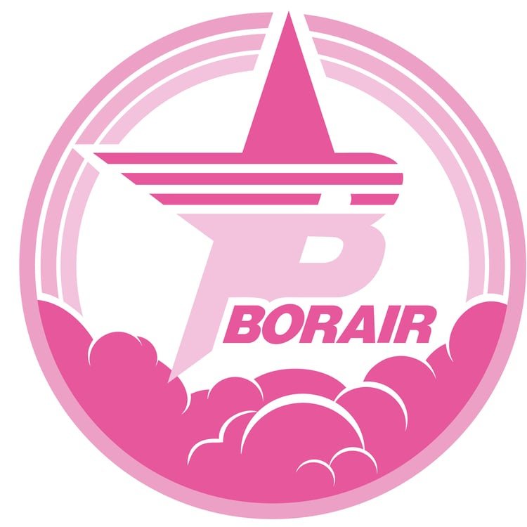 Bora Yurteri