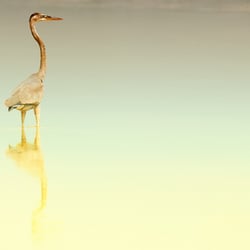 Auf einem See in Mexiko
