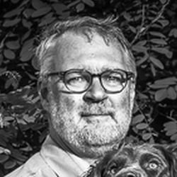 Wachtelhund Portrait