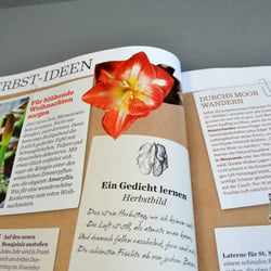 COUNTRY Magazin