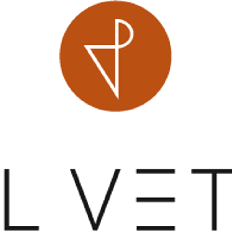 Webdesigner Berlin | Paul Vetter