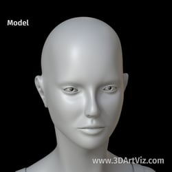 cam 01 03 model
