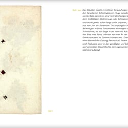 Inhalt, Clara Schumann „Blumentagebuch“