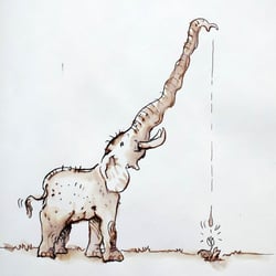 elefant