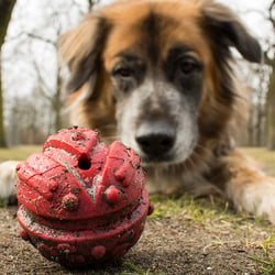 ball01