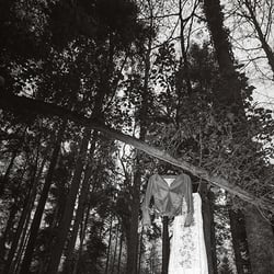 Couture im Wald