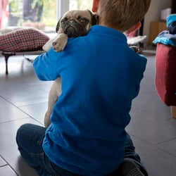mensch und mops 9