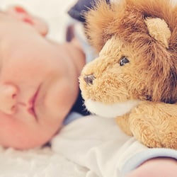 Detailfoto Baby Fotoshooting