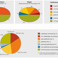 Ausschnitt Diagrammüberarbeitung