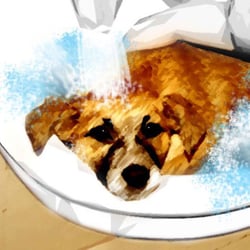 Photoshop: Welpe