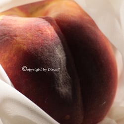 Food 23.08.14