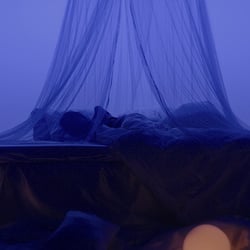 KU2 Europe – Ego Dream