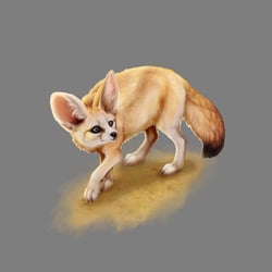 Wüstenfuchs