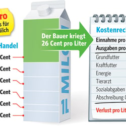 Infografik; Bild der Frau (2009)
