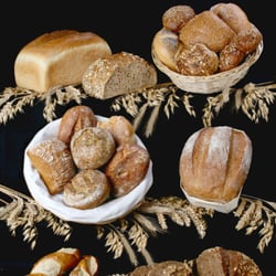 Brot