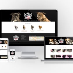 Crostaffs – Webdesign, Photografie und Umsetzung