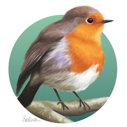 Rotkehlchen