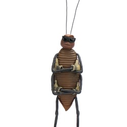 ROACH cool