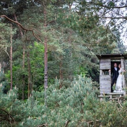 Braushooting im Wald