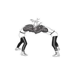The Wrestling Deers