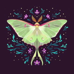 Luna Moth
