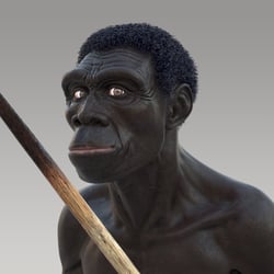 Homo Erectus 3D-Character Modelling; ZBrusch, 3DS MAX