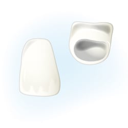Zahnillus-08