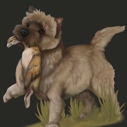 Therengar Terrier