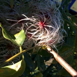 Herbst…Oktober 2012 Teil 02