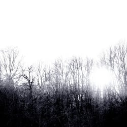 An der Isar II
