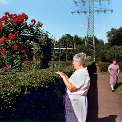 Schrebergarten 7
