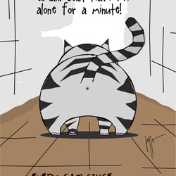 Cats 2020