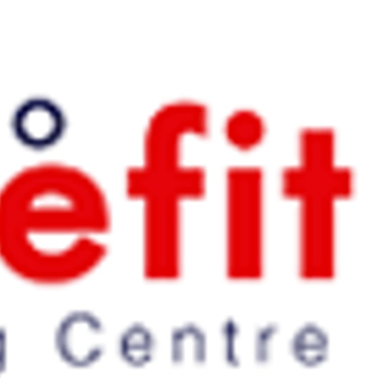 Auto Surefit