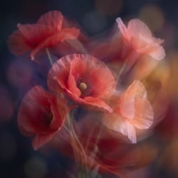 Resilience