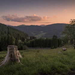 Schwarzwald